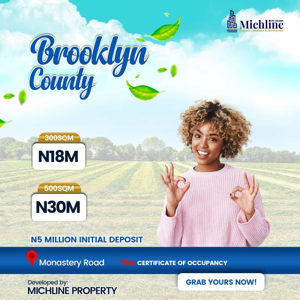 Brooklyn County is a valuable and keystone of wealth for the ready minds, an affordable place with the most favorable location and well developed environment