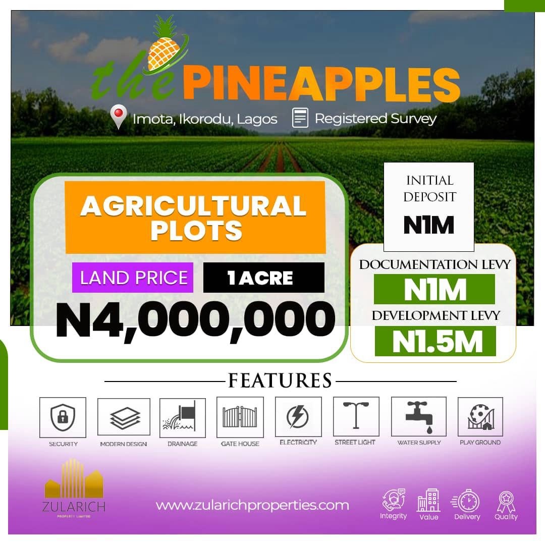 The Pineapples. This estate boasts proximity to key landmarks such as Caleb University, the Imota Rice Mill, Imota Roundabout, Ikorodu Ferry