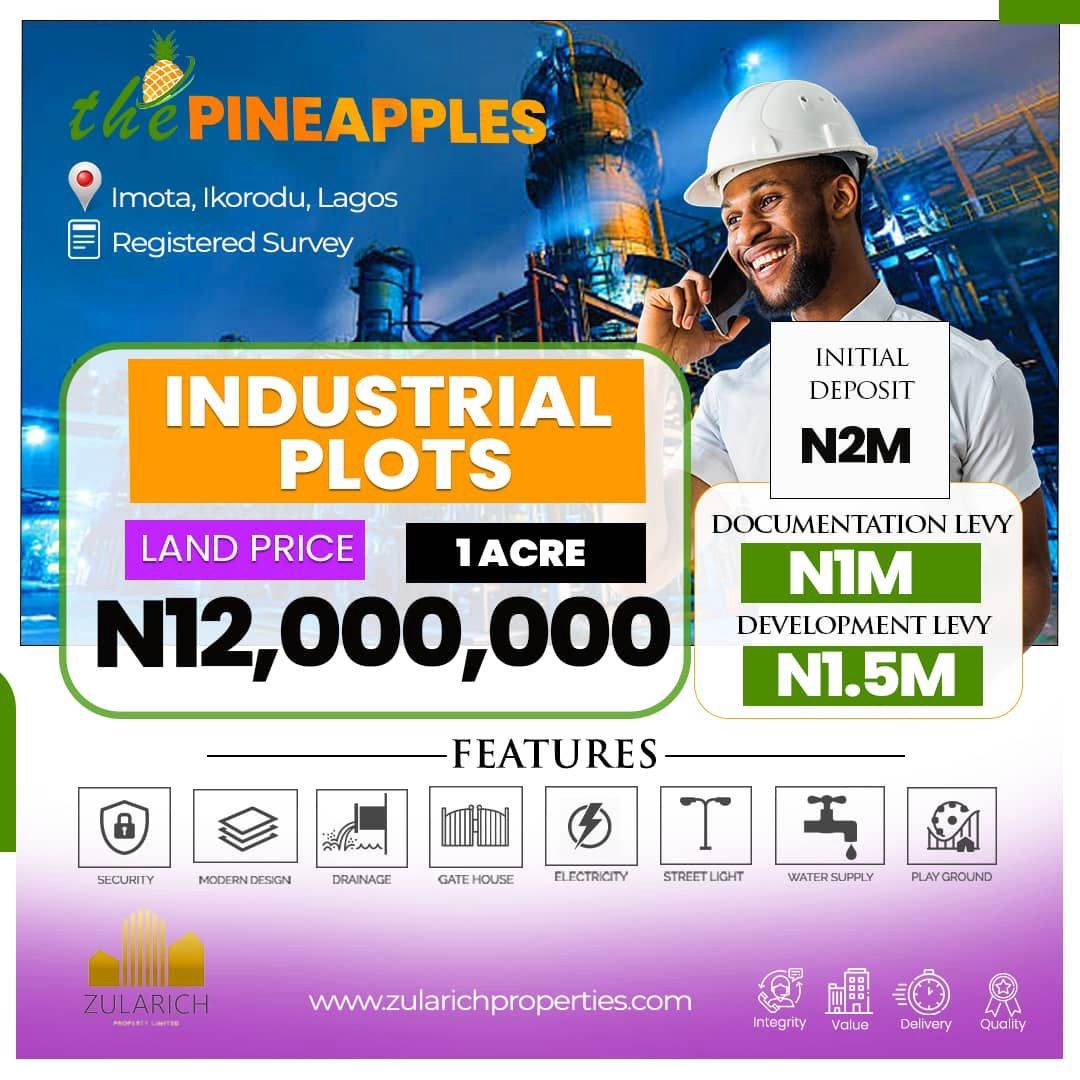 The Pineapples. This estate boasts proximity to key landmarks such as Caleb University, the Imota Rice Mill, Imota Roundabout, Ikorodu Ferry