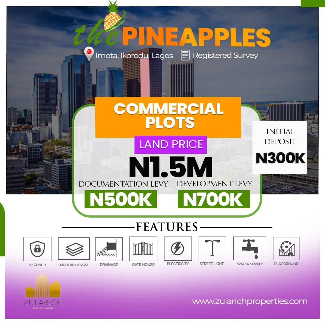 The Pineapples. This estate boasts proximity to key landmarks such as Caleb University, the Imota Rice Mill, Imota Roundabout, Ikorodu Ferry