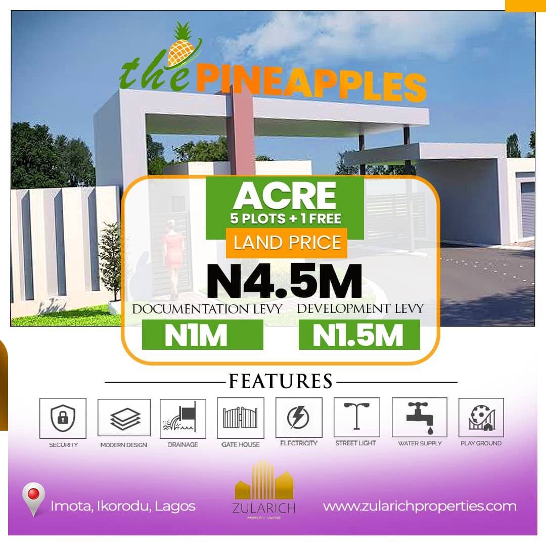 The Pineapples. This estate boasts proximity to key landmarks such as Caleb University, the Imota Rice Mill, Imota Roundabout, Ikorodu Ferry